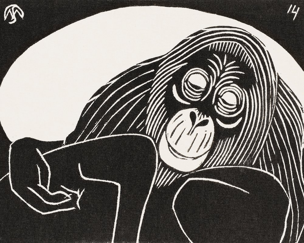 Orangutan by Samuel Jessurun de Mesquita