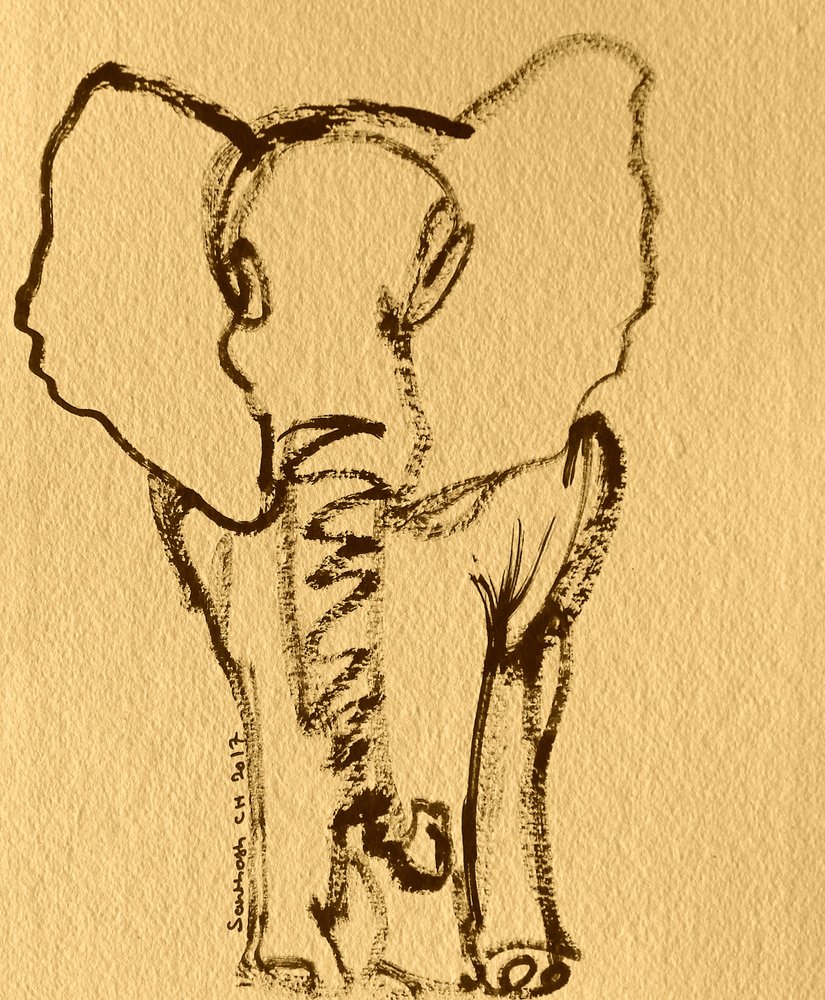 Baby Elephant Sketch by Santhosh ch