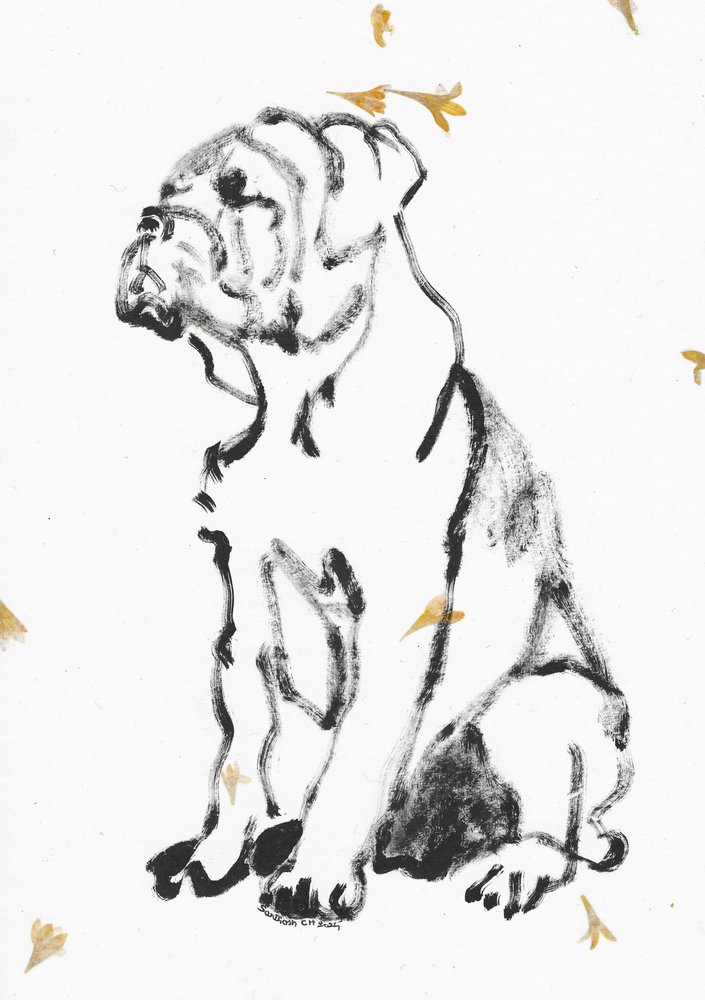 Bulldog Puppy Sketch by Santhosh ch