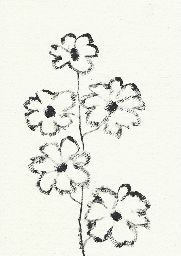 Charcoal Flower Sketch by Santhosh ch
