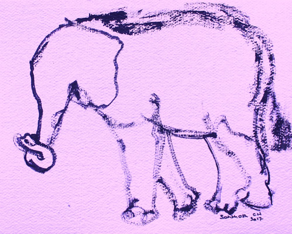 Curious Elephant Drawing by Santhosh ch