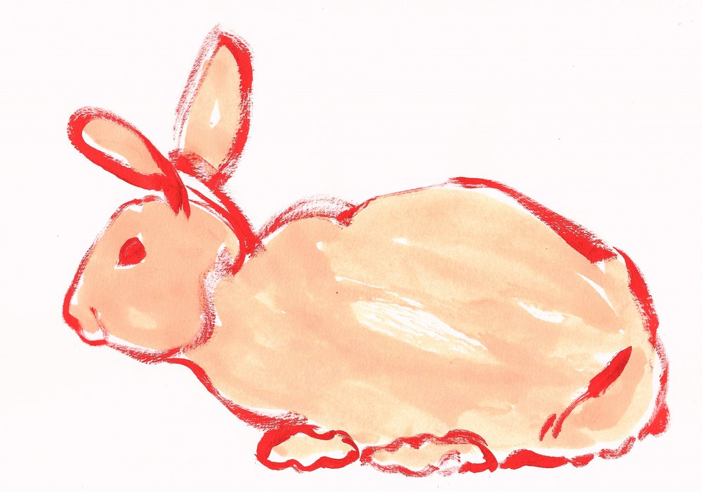 Cute Orange Bunny by Santhosh ch