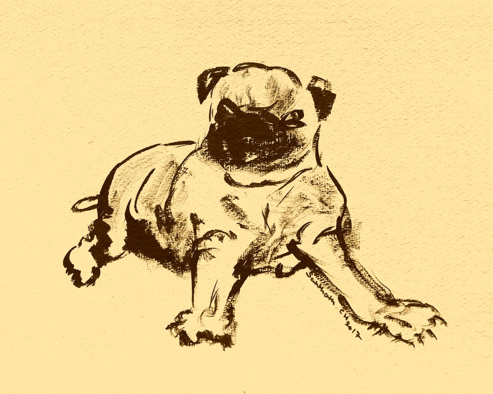 Cute Pug Puppy Sketch by Santhosh ch