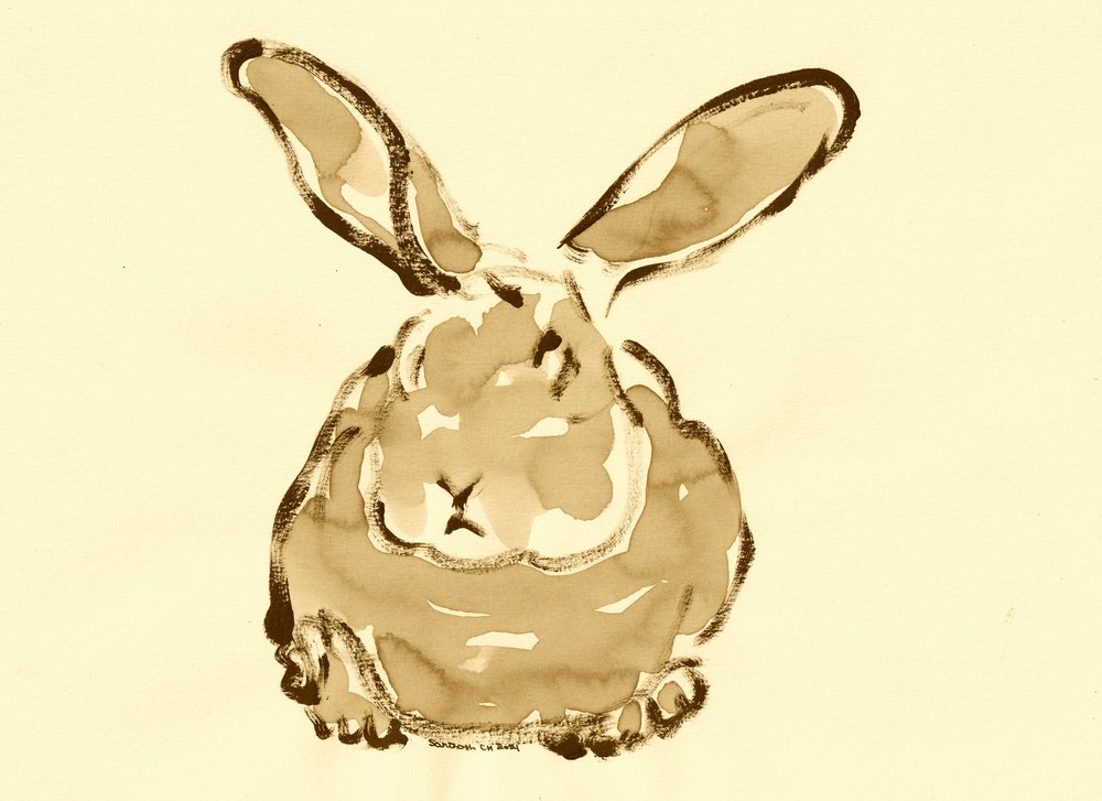 Cute Watercolor Rabbit by Santhosh ch