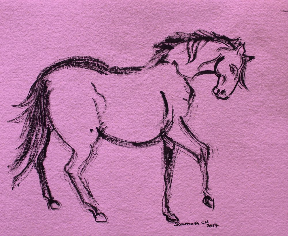 Dynamic Horse Outline by Santhosh ch