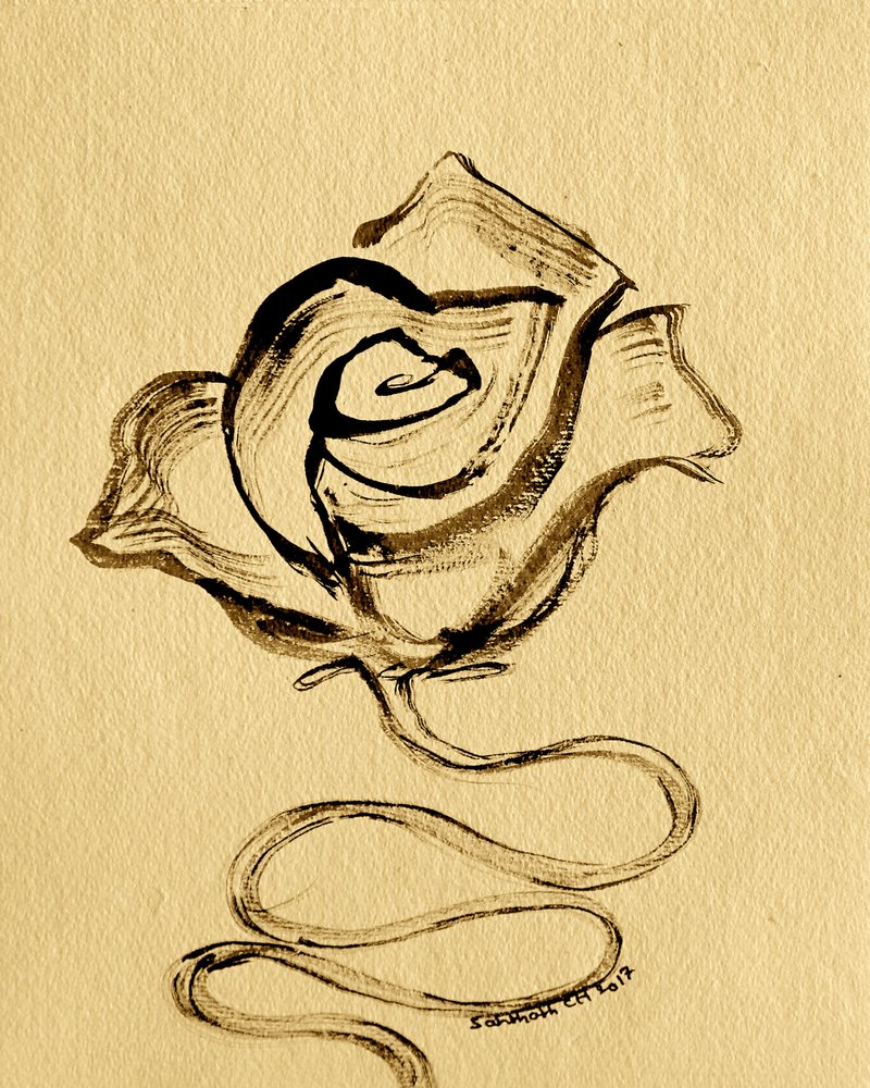 Elegant Flowing Rose by Santhosh ch