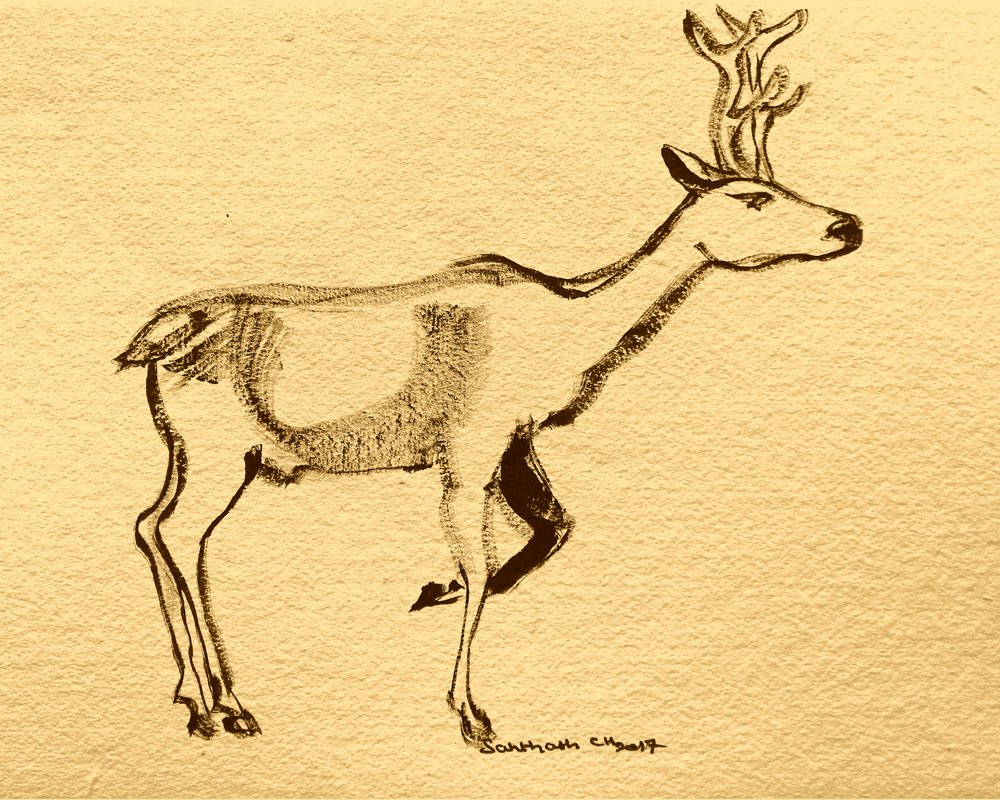 Elegant Woodland Stag by Santhosh ch