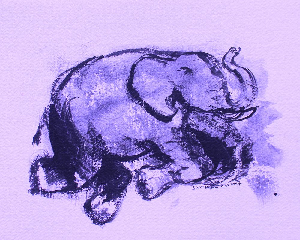 Elephant 42 by Santhosh ch