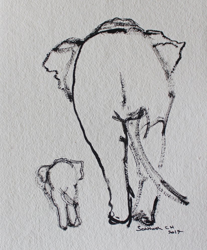 Elephant Family Walk by Santhosh ch
