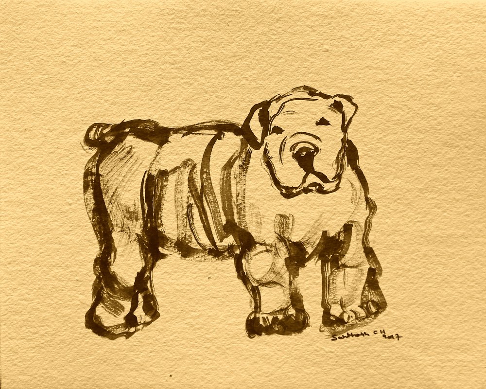 Expressive Bulldog Sketch by Santhosh ch