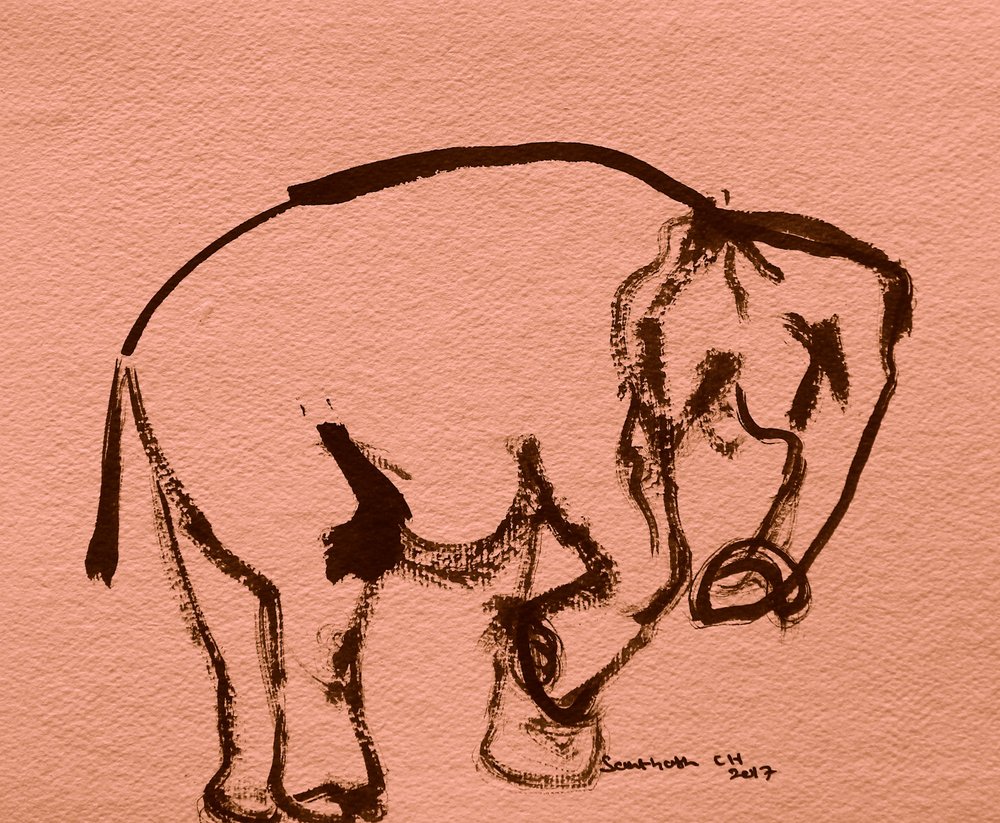 Expressive Elephant Sketch by Santhosh ch