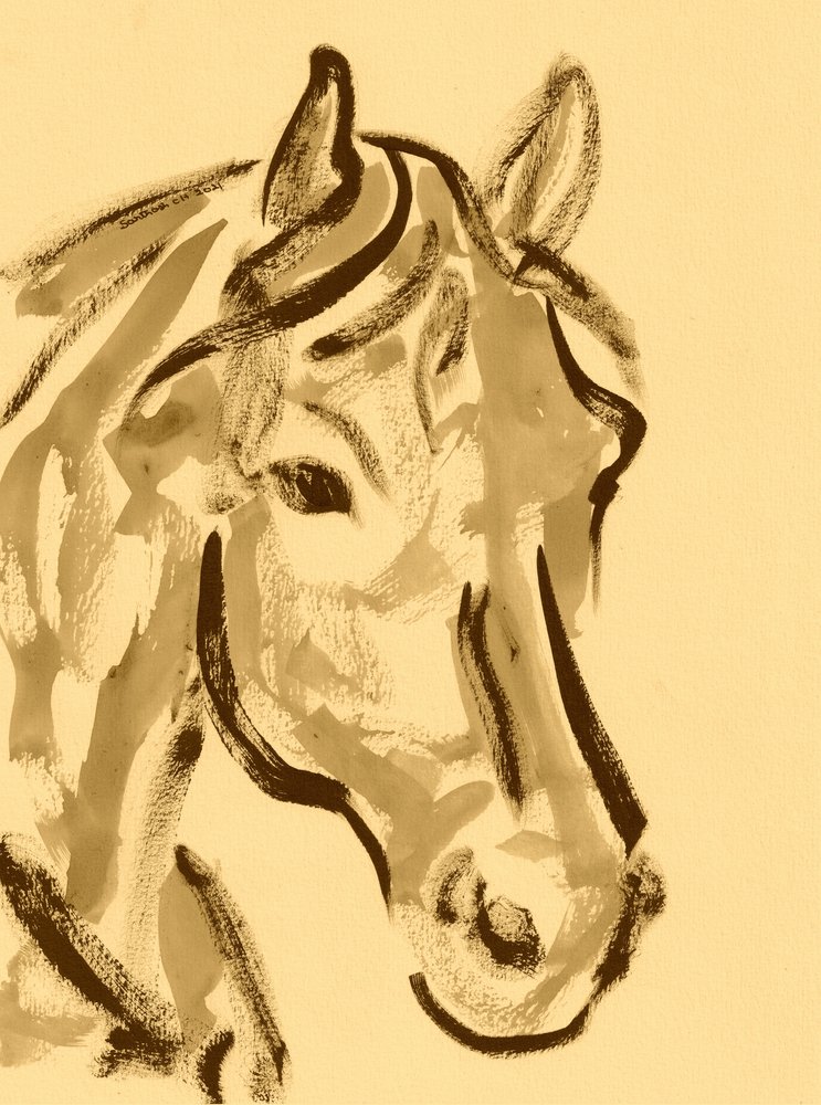Expressive Horse Portrait by Santhosh ch