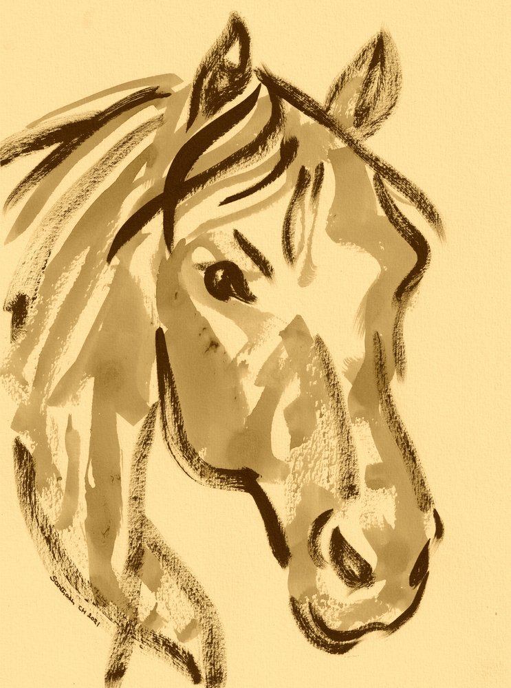 Expressive Horse Sketch by Santhosh ch