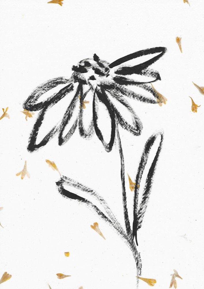 Flower With Falling Petals by Santhosh ch