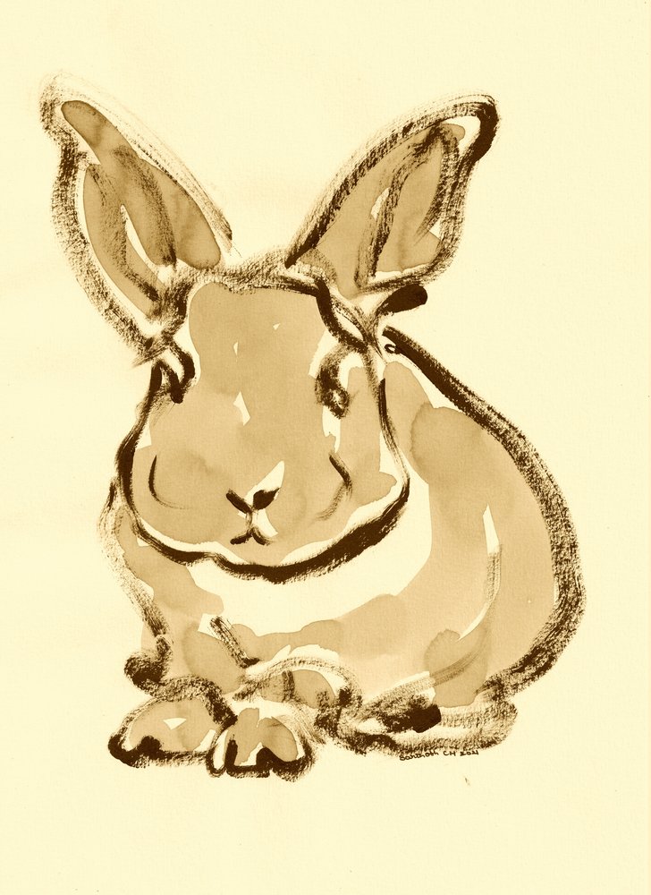 Gentle Bunny Sketch by Santhosh ch