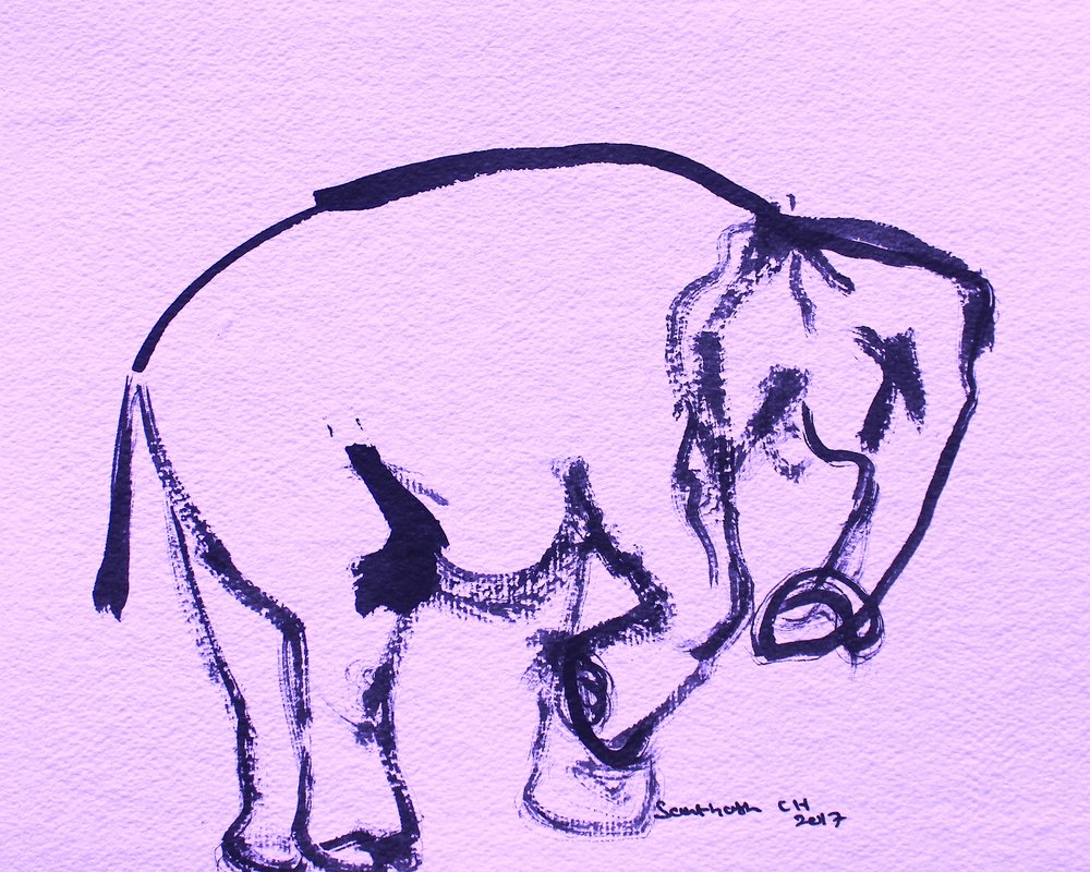 Gentle Elephant Ink by Santhosh ch