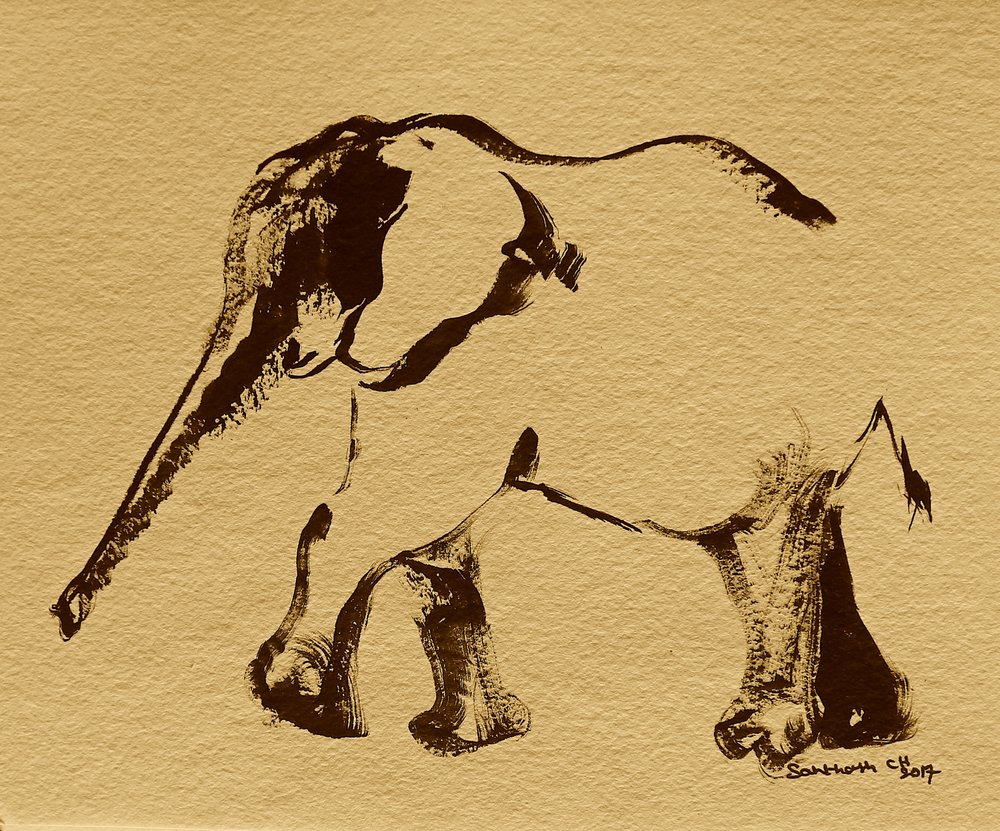 Gentle Elephant Study by Santhosh ch