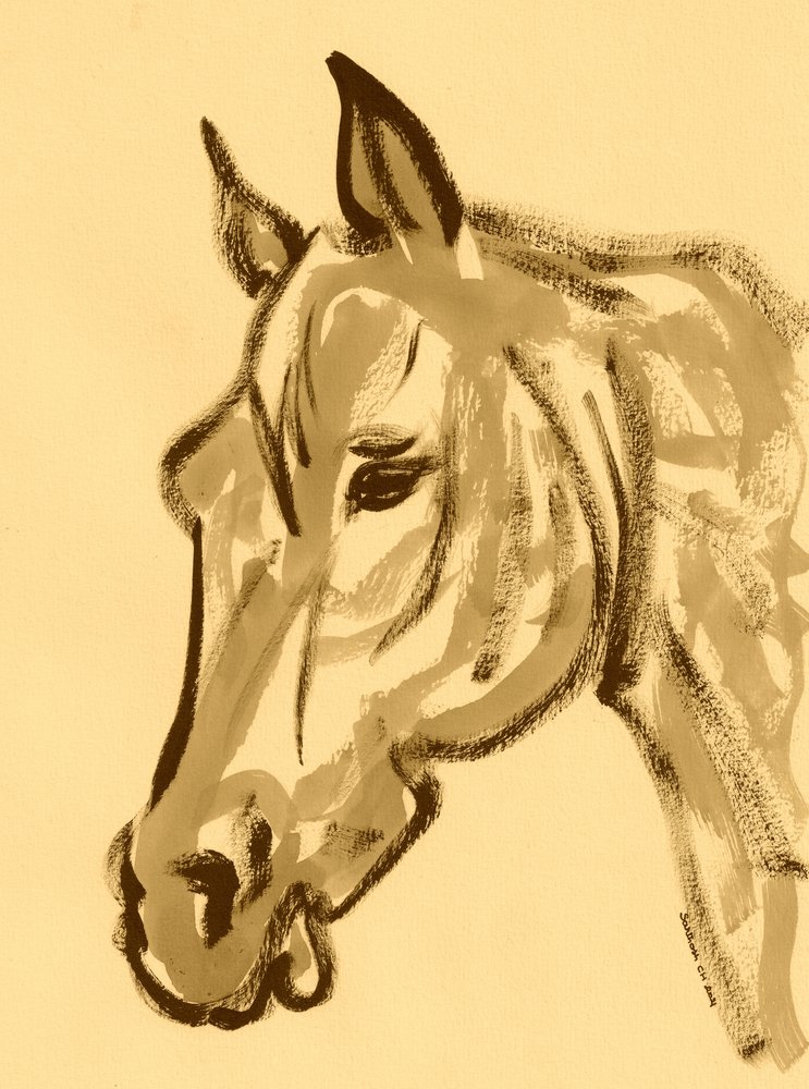 Graceful Horse Drawing by Santhosh ch