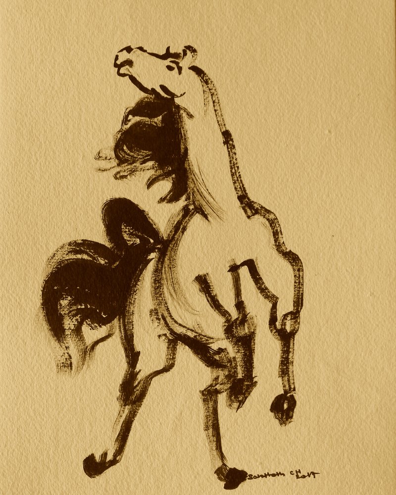 Horse 24 by Santhosh ch