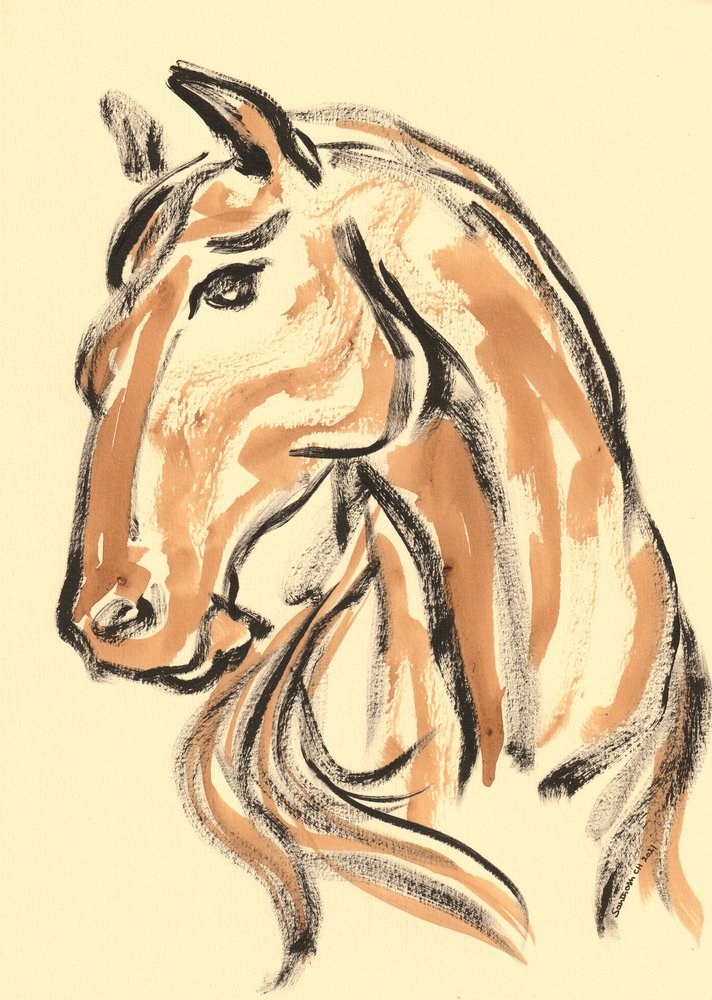 Majestic Horse Profile by Santhosh ch