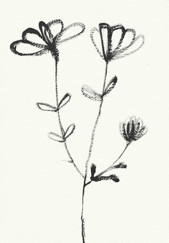 Minimalist Floral Sketch by Santhosh ch