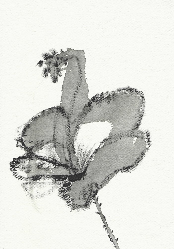 Monochrome Floral Study by Santhosh ch