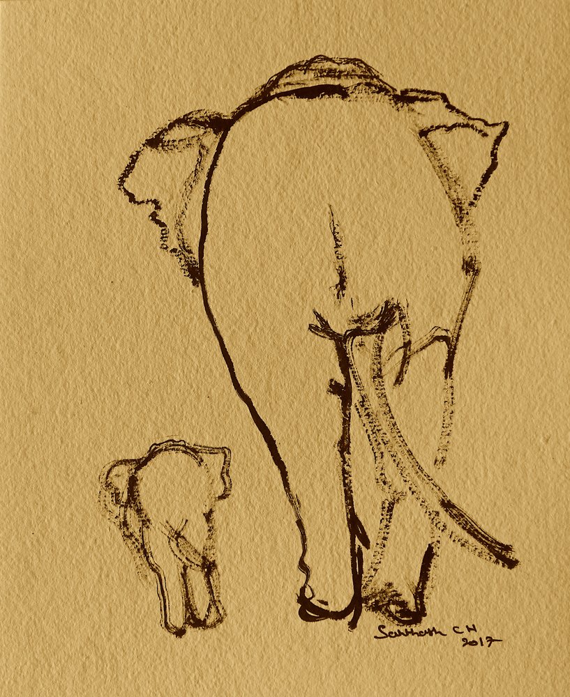 Mother Baby Elephants by Santhosh ch