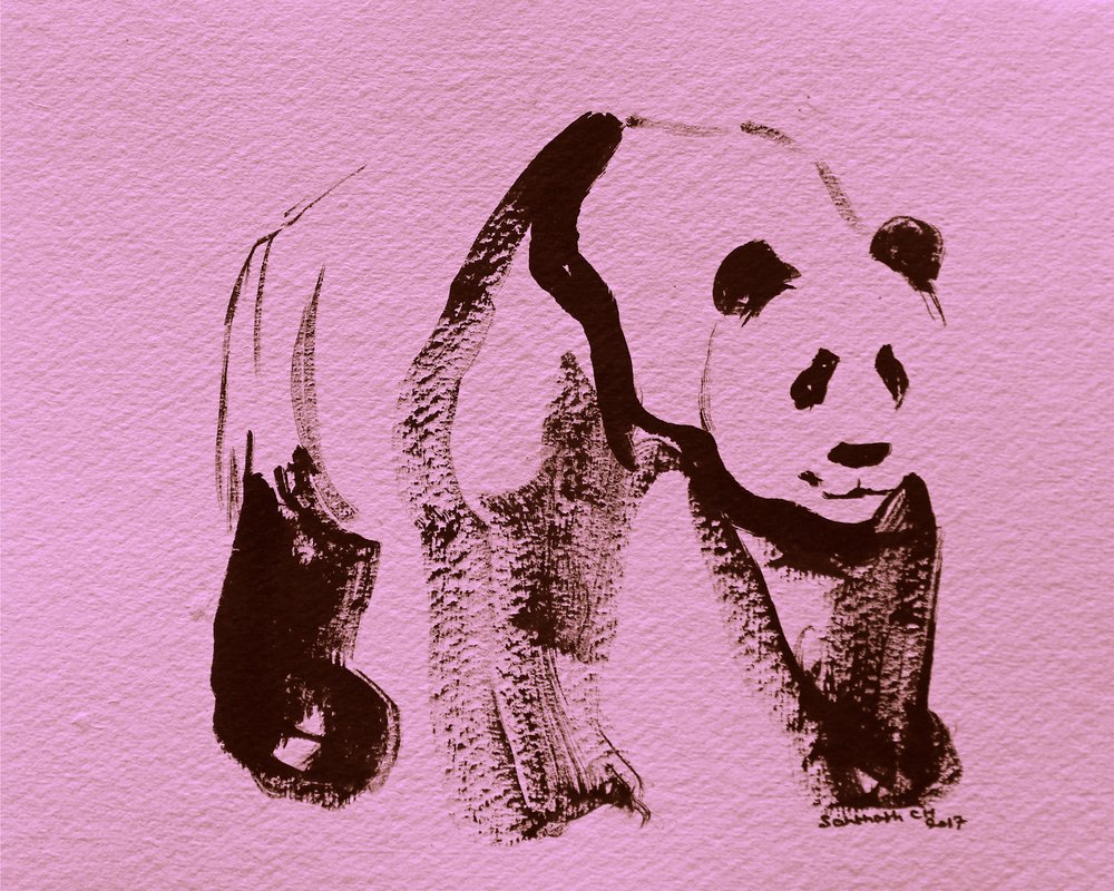Pink Panda Brushstrokes by Santhosh ch