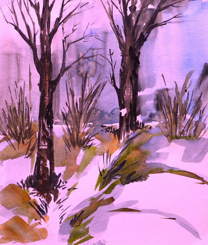 Pink Winter Woods by Santhosh ch