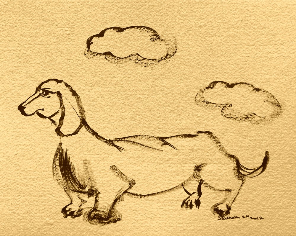Playful Dachshund Sketch by Santhosh ch