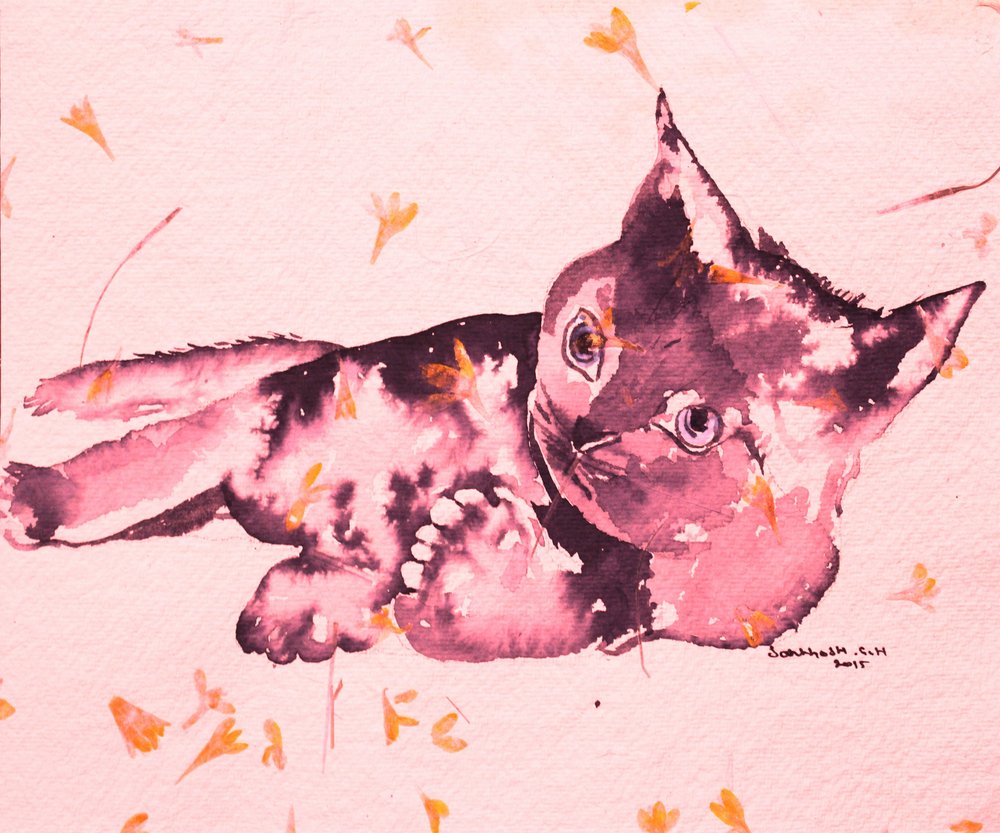 Playful Pink Kitten by Santhosh ch