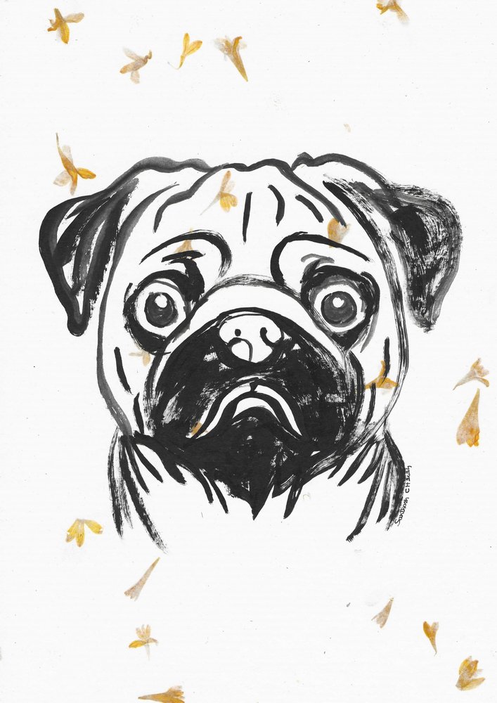 Pug With Falling Petals by Santhosh ch