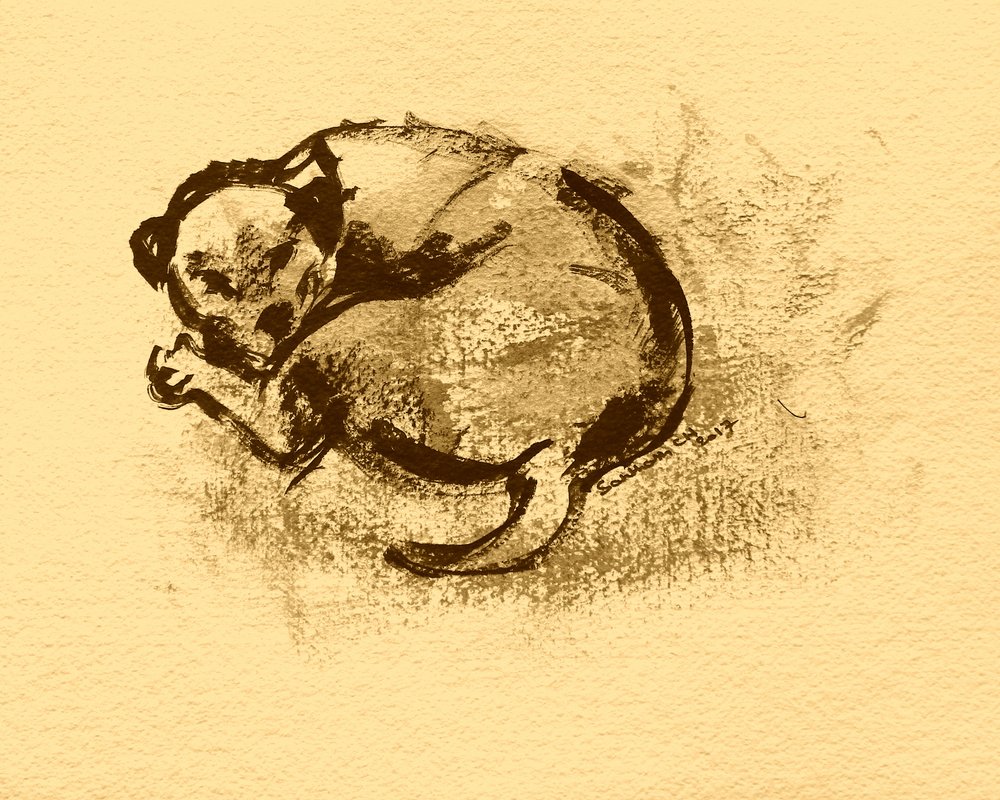 Sleeping Puppy Sketch by Santhosh ch