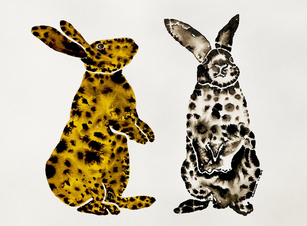 Spotted Rabbit Pair by Santhosh ch