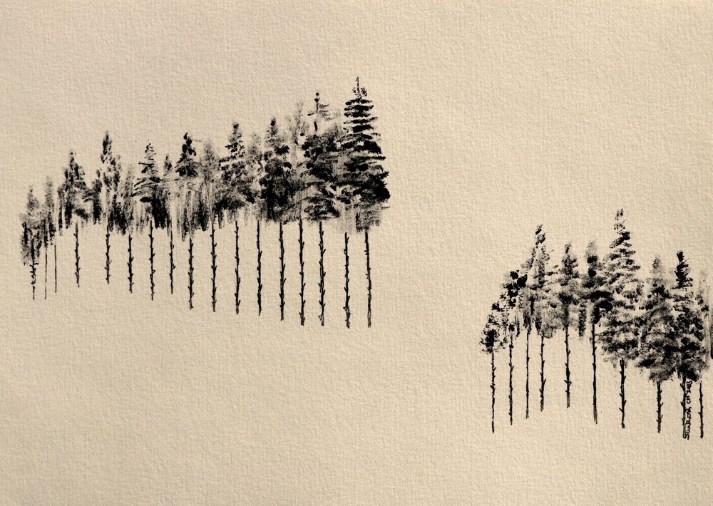 Stylized Pine Woods by Santhosh ch