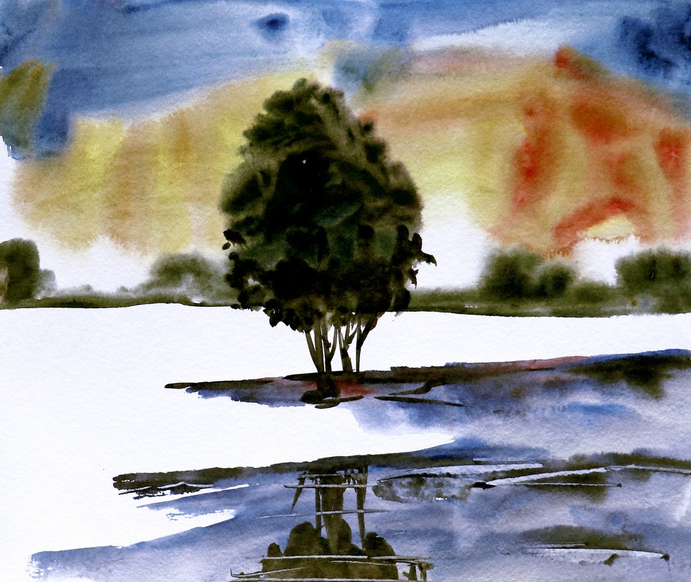 Sunset Tree Reflection by Santhosh ch
