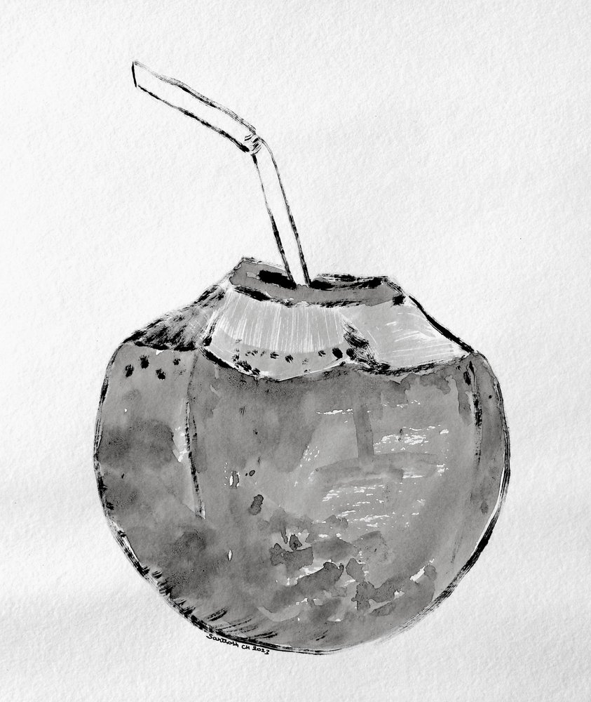 Tropical Coconut Drink by Santhosh ch
