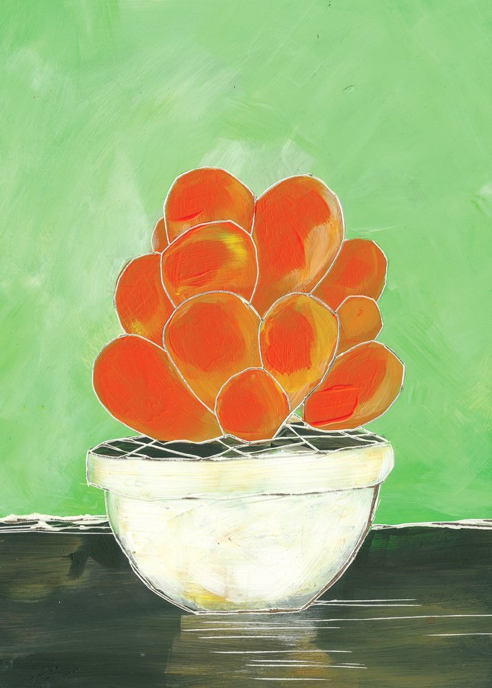 Vibrant Potted Succulent by Sarah Fitzgerald