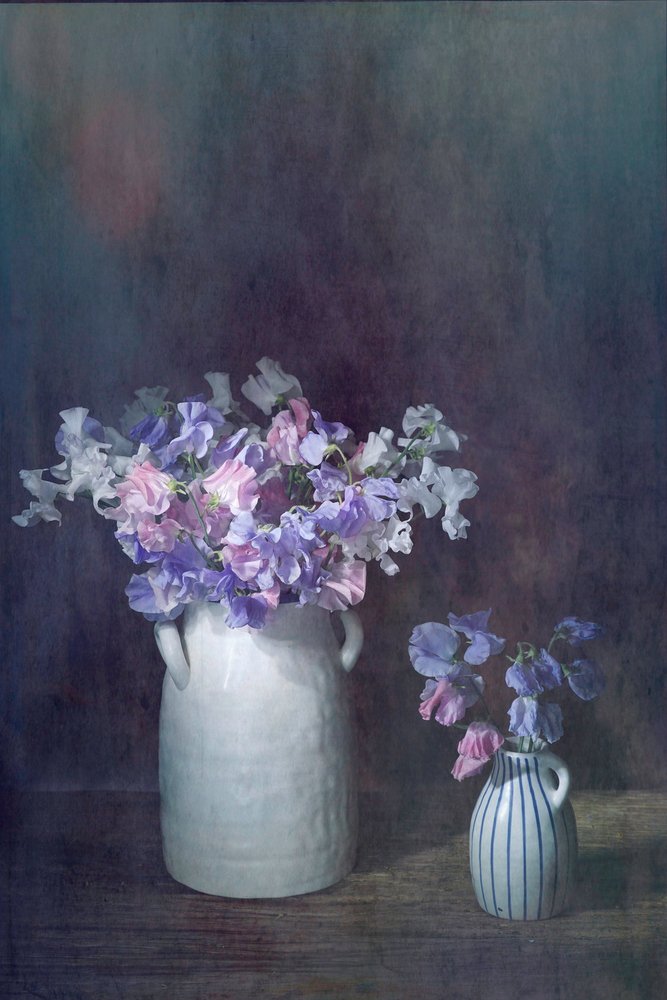 Delicate Sweet Peas by Saskia Dingemans