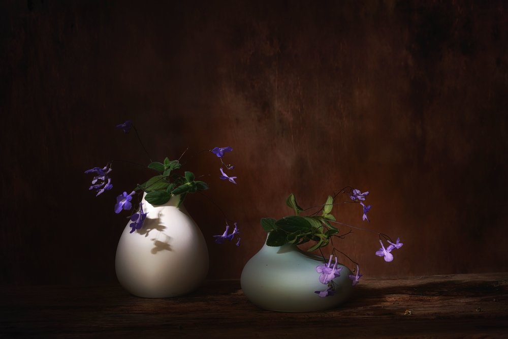 Floating Purple Blooms by Saskia Dingemans