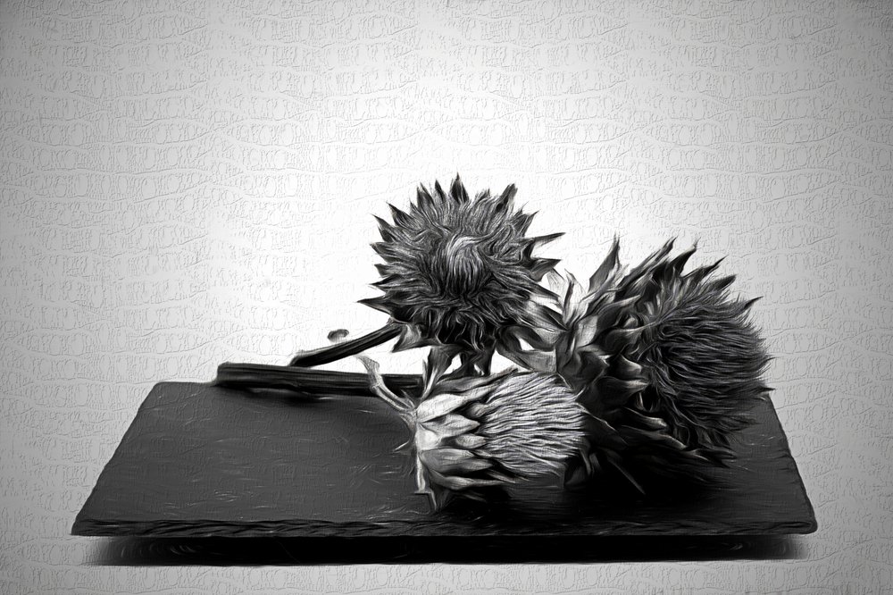 Monochrome Artichoke Still Life by Saskia Dingemans
