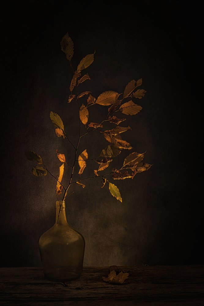Moody Autumn Leaves by Saskia Dingemans