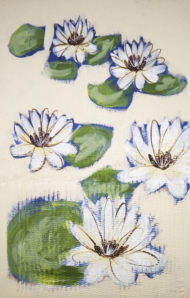 Floating Water Lilies by Shelley Hampe