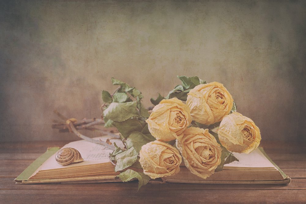Dried Roses On Old Book by Sophie Pan