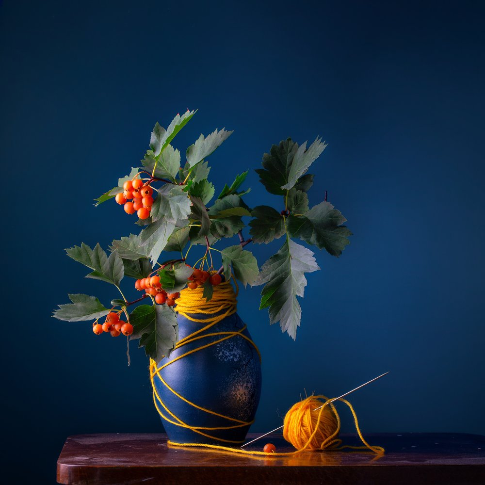 Hawthorn Berries and Yarn by Stanislav Aristov