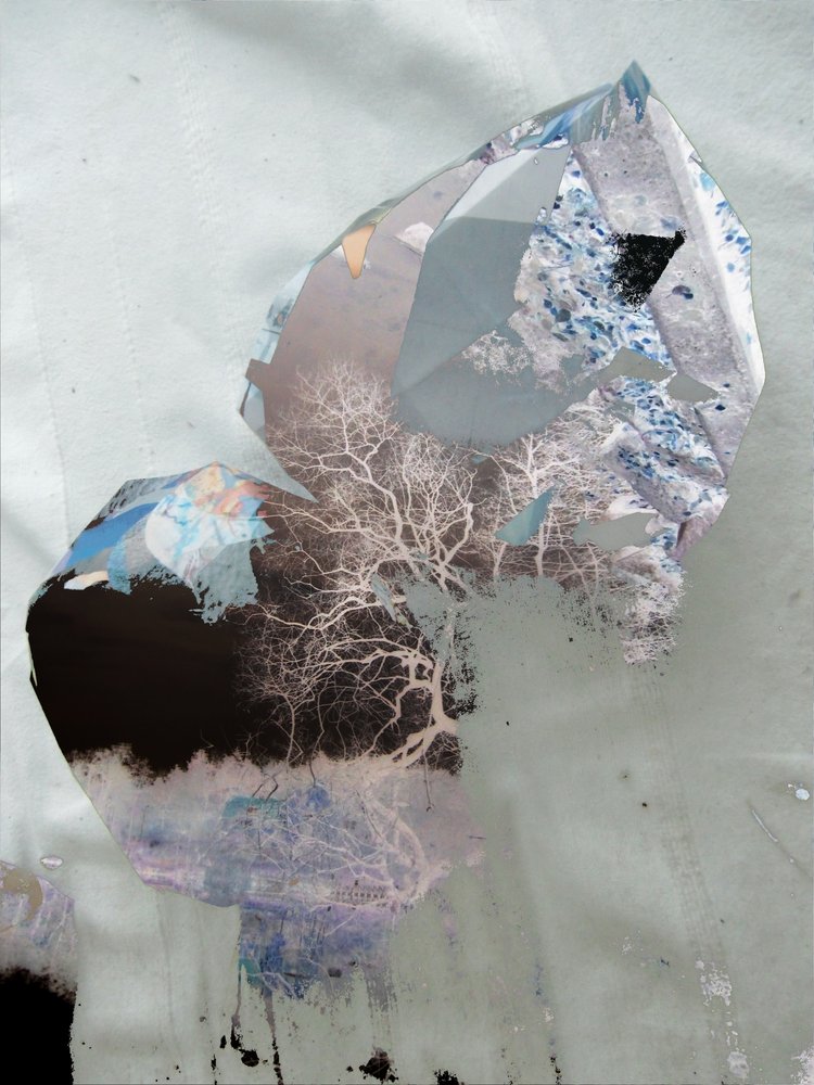 Abstract Winter Trees by Stefan Fransson