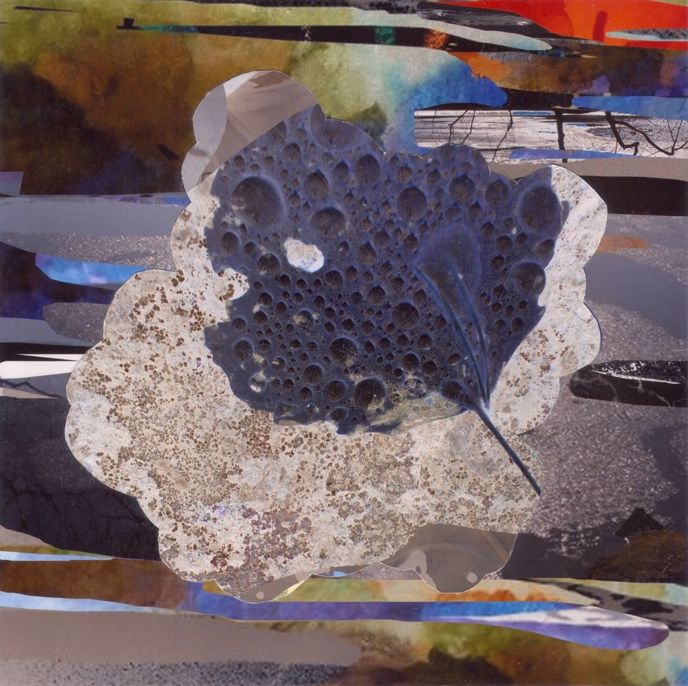 Bubbly Organic Abstract by Stefan Fransson