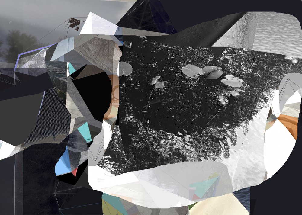 Fragmented Water Lilies by Stefan Fransson: Fine art print