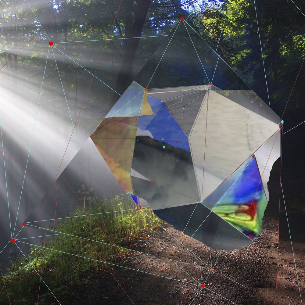 Sunlight Forest Prism by Stefan Fransson