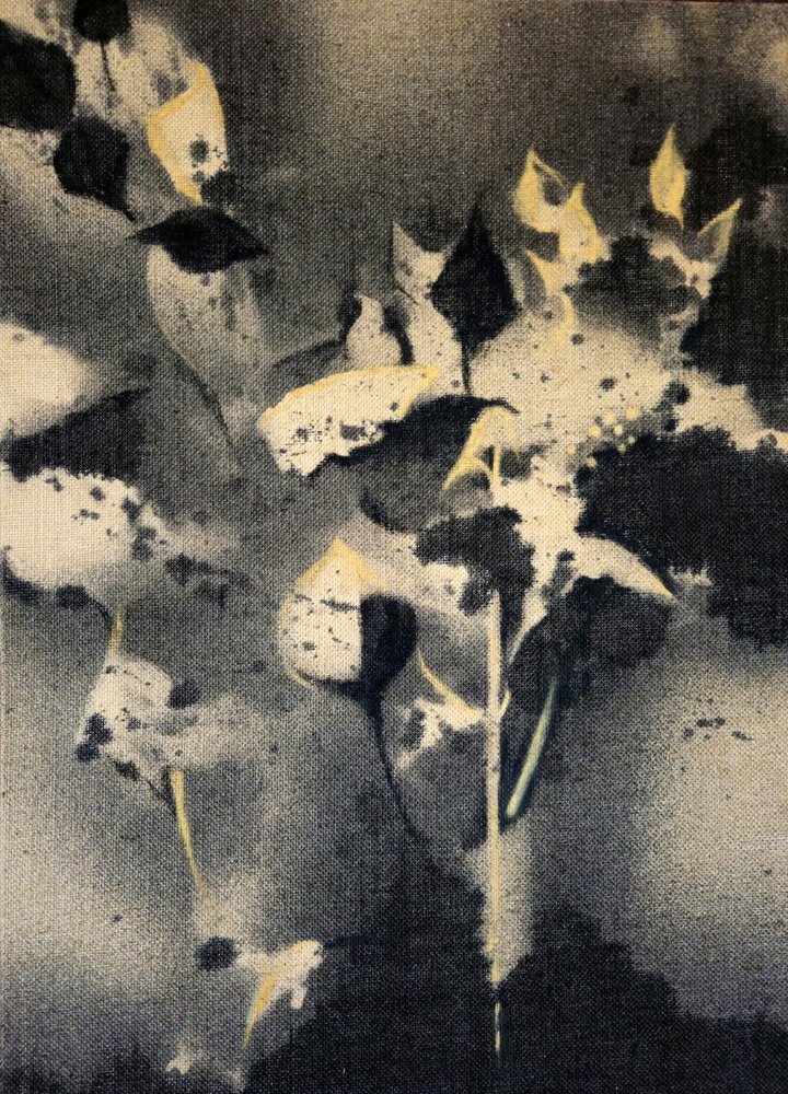 Dark Botanical Forms by Stefano Mazzolini